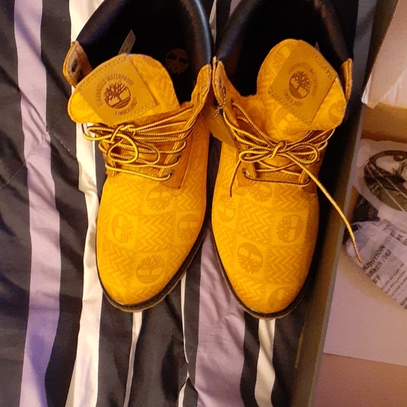 Timberline - Picture 4 of 4